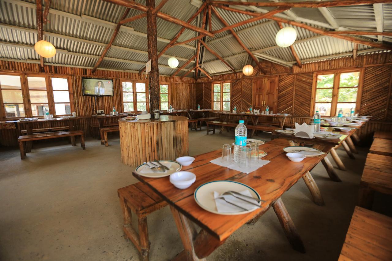 Jungle Livinn Resort Chail Ngoại thất bức ảnh